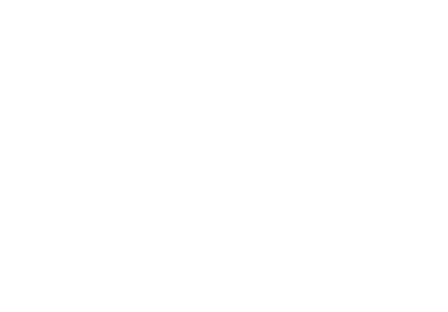 论见
